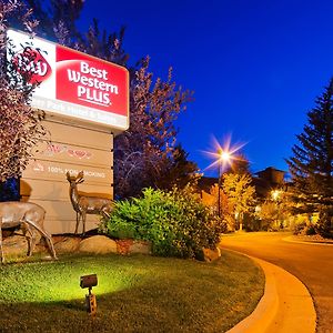 Best Western Plus Deer Park Hotel&Suites